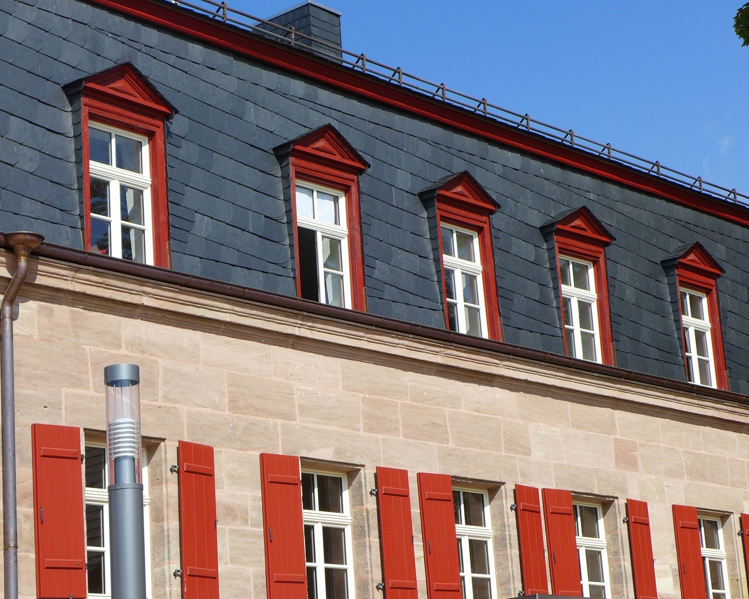 Schwarzer Adler in Nürnberg